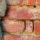 Brick Cleaning in Marion | WishnWash Services